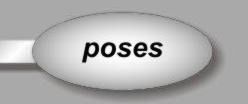 Go to the poses-section