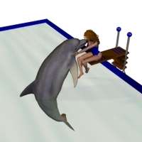 Dolphinshow - scene